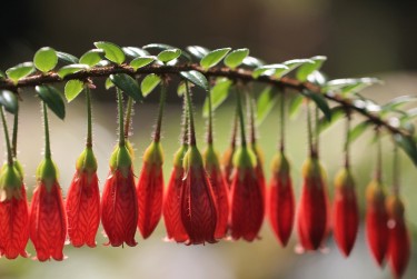 中山东升私人快速借钱网，轻松解决资金难题